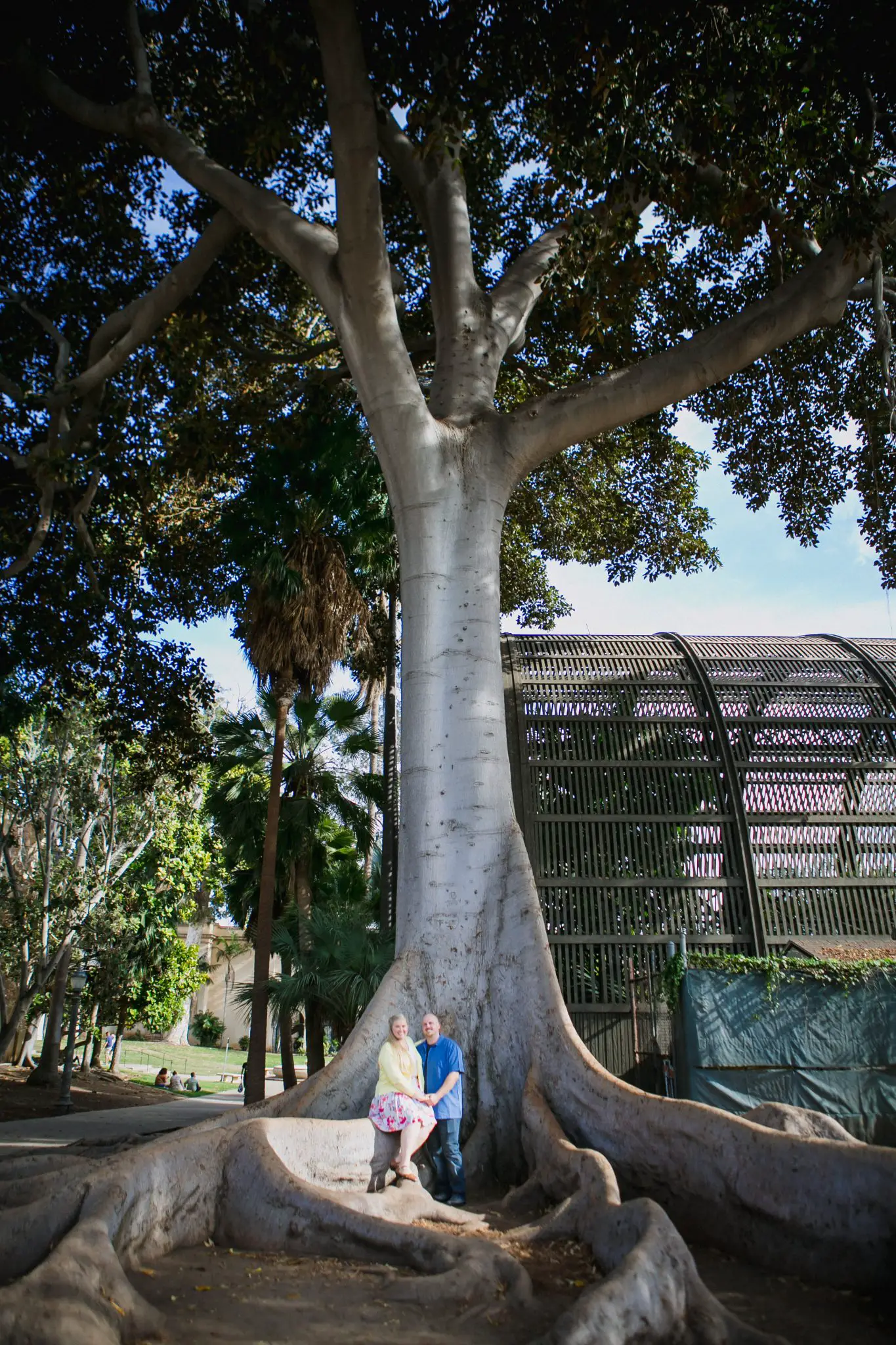 Couple posing by giant tree with roots